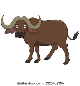Illustration of Cute African Buffalo