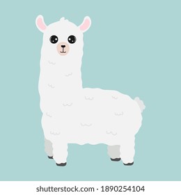 Illustration of cute alpaca isolated on blue background. Illustration for posters, greeting card, decoration.