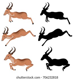 Illustration of cute antelope, cartoon animal on white background.