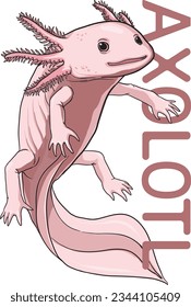 Illustration of cute axolotl - vector