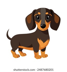 Illustration of Cute Baby Dachshund Dog Isolated