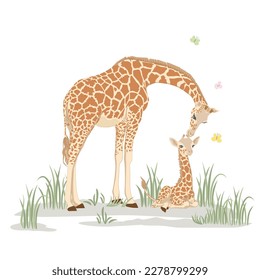 Illustration of cute baby giraffe and mother relaxing, enjoying the grassland. African giraffe is cuddling her cub in the nature. Coloured flat graphic vector illustration isolated on white background