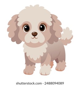 Illustration von niedlichen Baby Pudel Hund isoliert