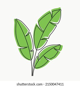 Illustration : Cute banana leaves in beautiful color schemes