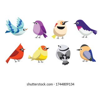 illustration of cute bird  animal vector pet wildlife