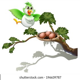 Illustration of a cute bird at the branch of a tree with a nest on a white background