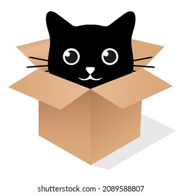 Ilustración de un lindo gato negro en una caja con una sombra sobre un fondo blanco