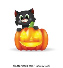 Illustration of a cute black cat with pumpkin.