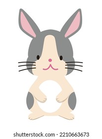 Illustration of a cute black and white rabbit. Zodiac animal, Rabbit year, New Year's card material, Hollander