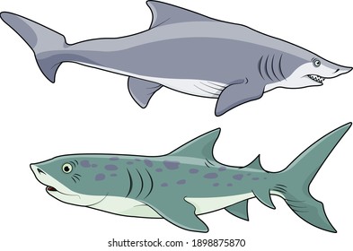 Illustration of cute Blue Shark Catshark