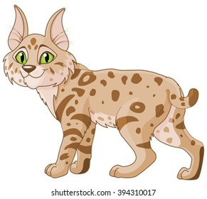Illustration of cute bobcat 