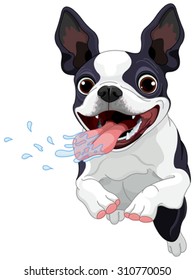 Illustration of cute Boston terrier 