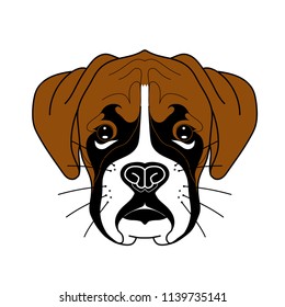 Illustration of cute boxer puppy with big brown ears and black nose in vector