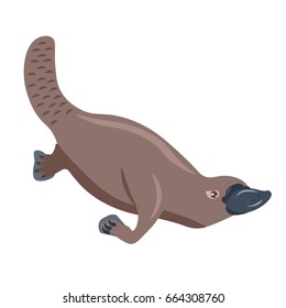 Illustration of a cute brown platypus with duck beak in vector