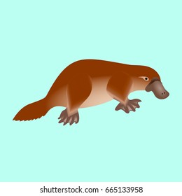 Illustration of a cute brown platypus with duck beak in vector