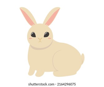 Illustration of a cute brown rabbit. Vector illustration . 