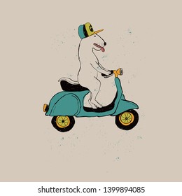 Illustration with cute Bull Terrier Dog riding motorbike. Funny greeting card, t-shirt design, print, sticker or poster.