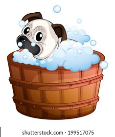 Illustration of a cute bulldog inside the bathtub on a white background