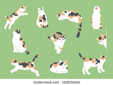 Illustration of cute calico cat