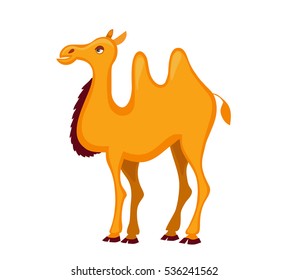 Illustration of cute  camel cartoon. Vector illustration isolated on white background.