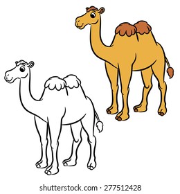 Illustration Of Cute Camel. Coloring Book.Vector