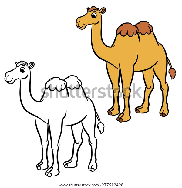 Illustration of cute\
camel. Coloring\
book.Vector