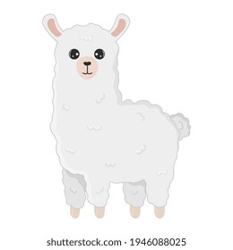 Illustration of cute cartoon alpaca isolated on white background. Print for t-shirts, posters, greeting cards, stickers, design and more. Cartoon llama