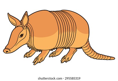 Illustration of a cute cartoon armadillo
