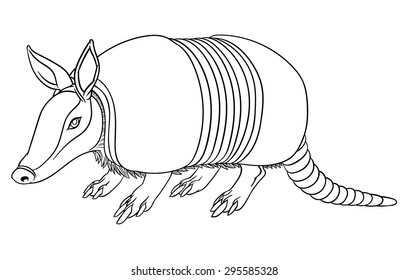 Illustration of a cute cartoon armadillo 