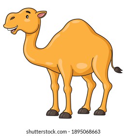 Illustration of cute cartoon camel smiling.