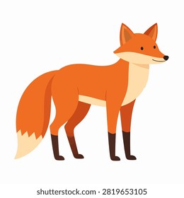 Illustration of a cute cartoon fox with orange fur, white chest, and bushy tail, standing on all fours with a friendly expression.