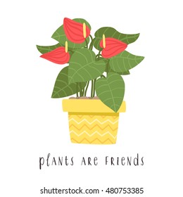 illustration of cute cartoon home plant in pot with plants are friend text message. can be used for cards, invitations or like sticker