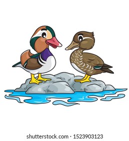 Illustration of cute cartoon mandarin duck.