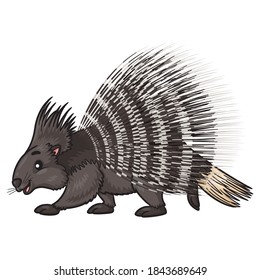 Illustration of cute cartoon porcupine.