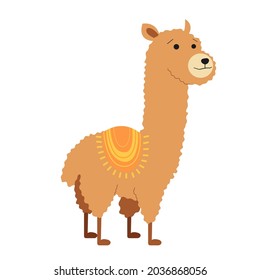 An illustration of a cute cartoon style llama. Latin America animal. Isolated on white.