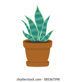 illustration of cute cartoon succulent in pot on white background. can be used for cards, party invitations or like stickers