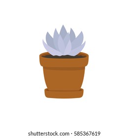 illustration of cute cartoon succulent in pot on white background. can be used for cards, party invitations or like stickers