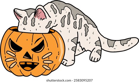 illustration of a cute cat looking at the contents of a pumpkin