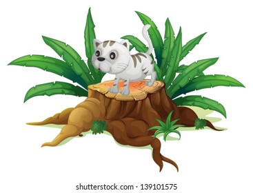 Illustration of a cute cat on a stump with leaves on a white background		