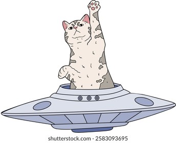 illustration of a cute cat riding a ufo