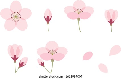 Illustration of cute cherry blossom