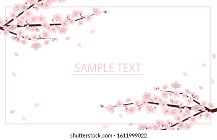 Illustration of cute cherry blossom