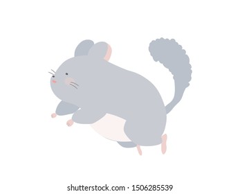 
It is an illustration of a cute chinchilla.
