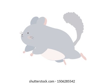 
It is an illustration of a cute chinchilla.
