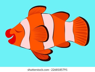 Illustration von Cute Clown Fisch oder Anemo Fisch mit gesichtslosen einzeln auf blauem Hintergrund. Grafiken, geeignet für Videos von Tieren, maßgeschneiderten Geräten und Kindergeräten.