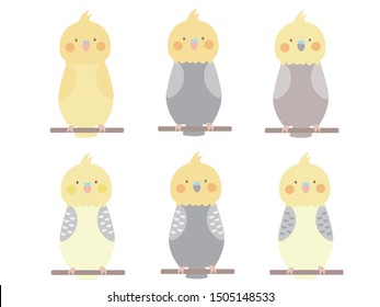 It is an illustration of a cute cockatiel.