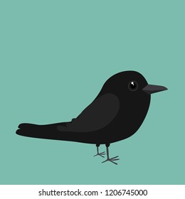 
An illustration of a cute crow