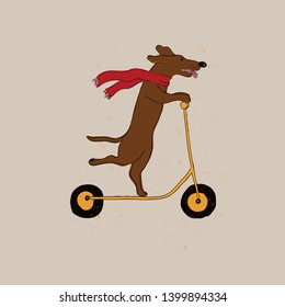 Illustration with cute Dachshund Dog riding scooter. Funny greeting card, t-shirt design, print, sticker or poster.