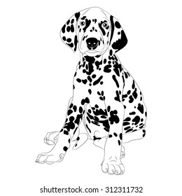 Illustration of a cute Dalmatian dog Puppy sitting isolate