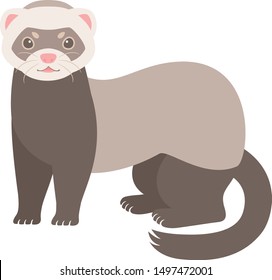 Illustration of a cute deformed ferret